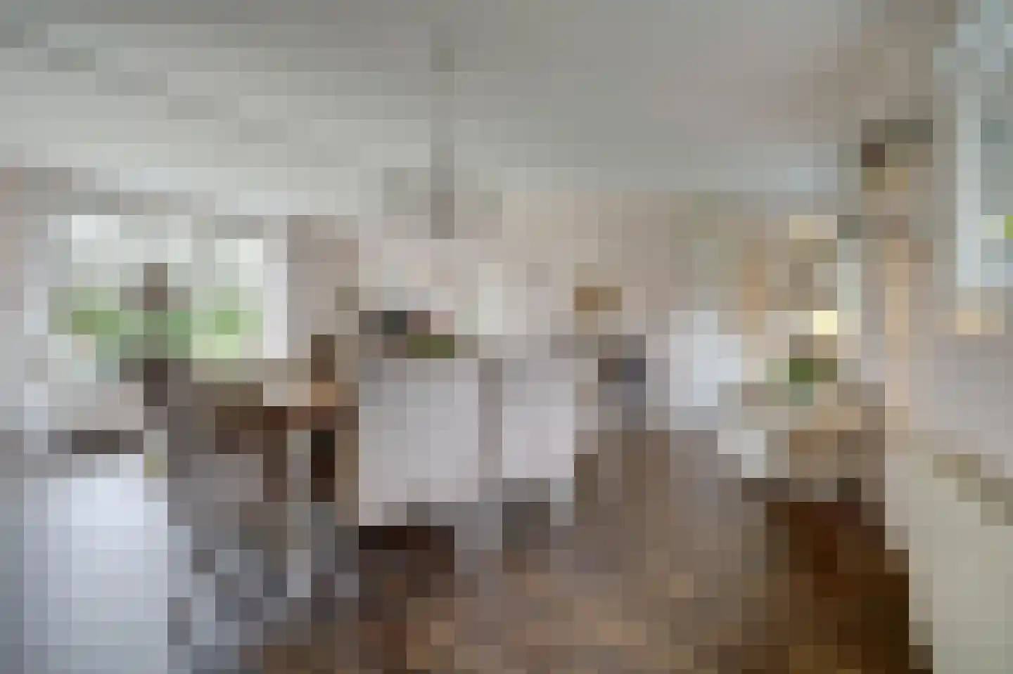 Duinweg 8 Renesse thumbnail 5