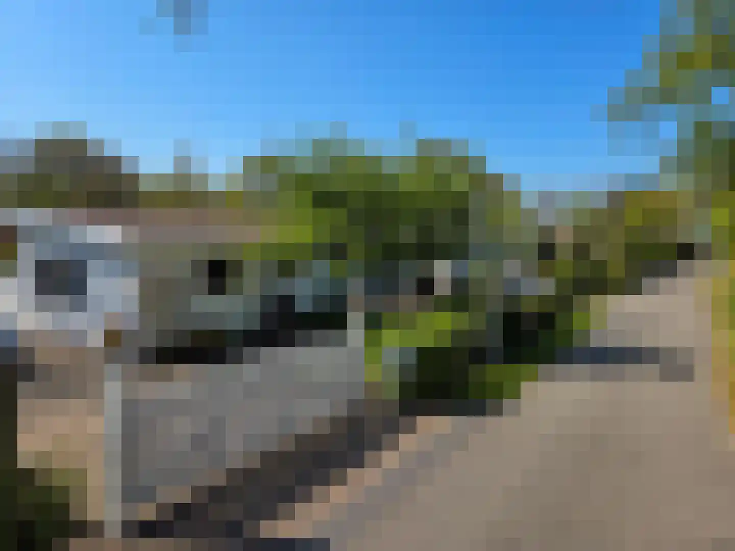 Duinweg 8 Renesse thumbnail 5