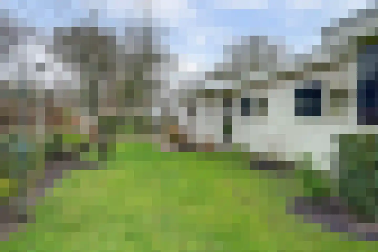 Duinweg 8 Renesse thumbnail 5