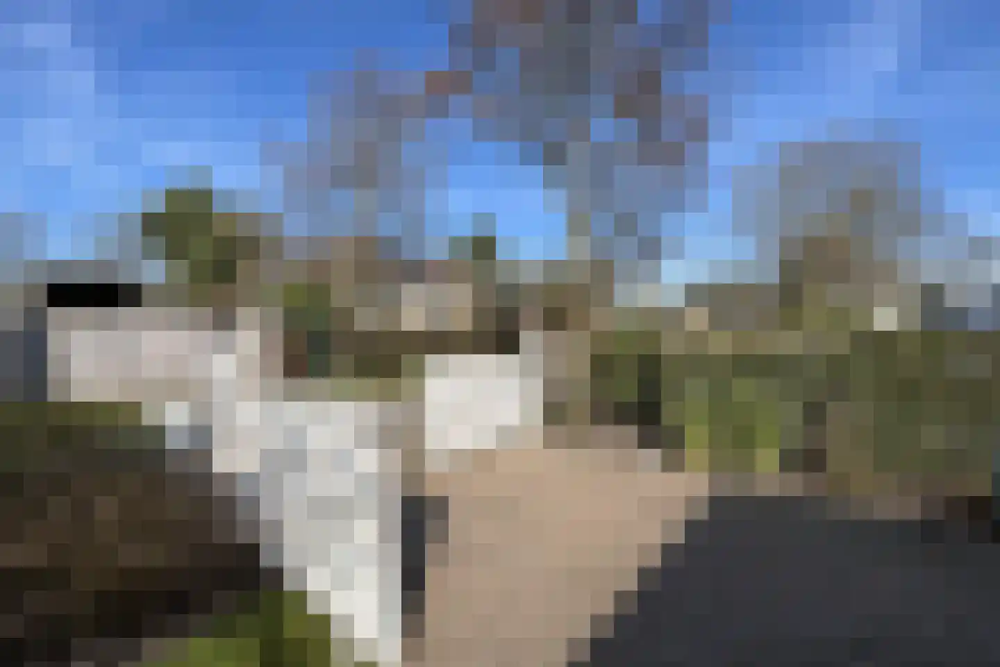 Duinweg 8 Renesse thumbnail 6