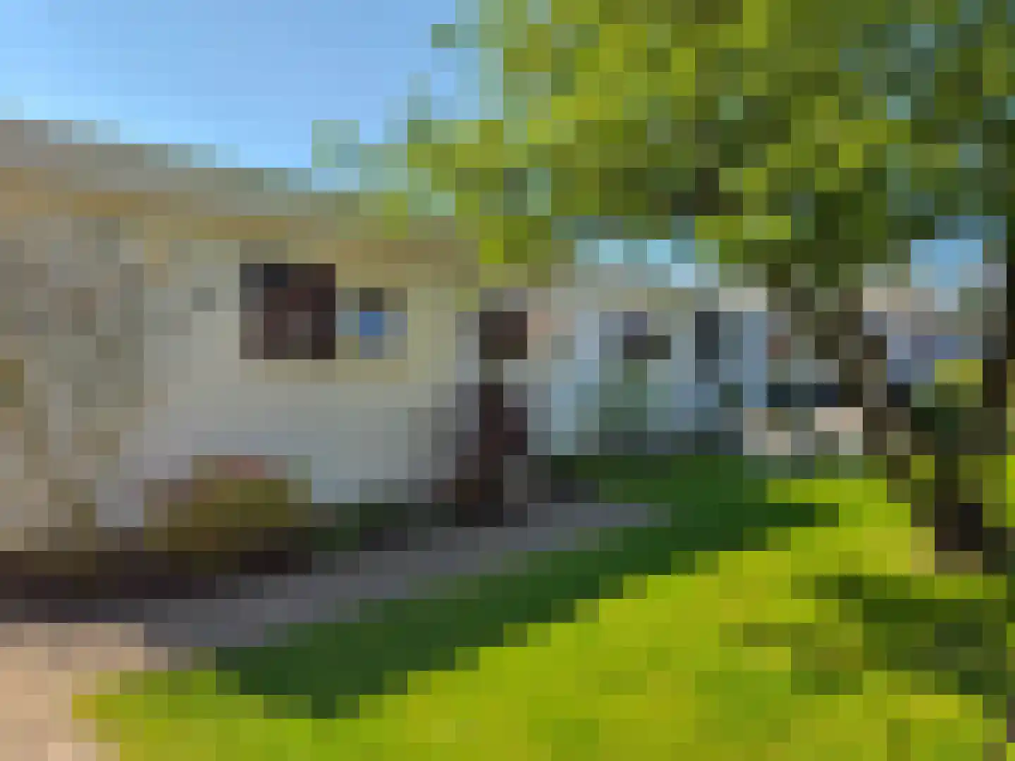 Duinweg 8 Renesse thumbnail 7