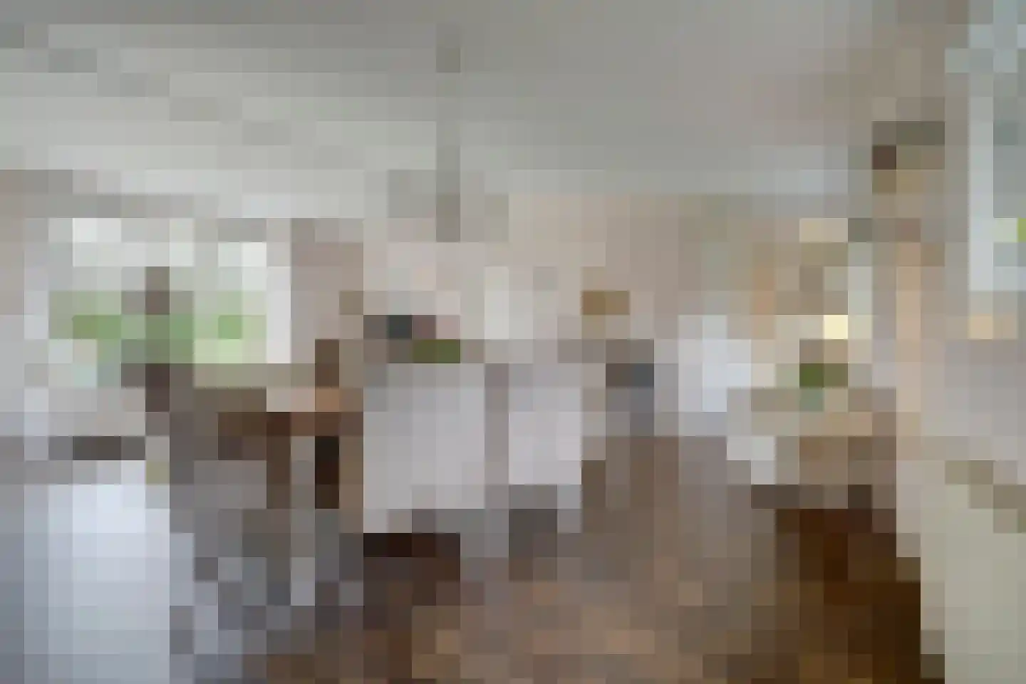 Duinweg 8 Renesse thumbnail 9