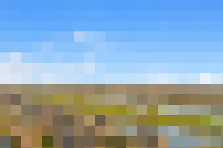 Duinweg 9 Renesse thumbnail 13