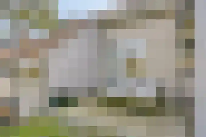 Duinweg 9 Renesse thumbnail 36