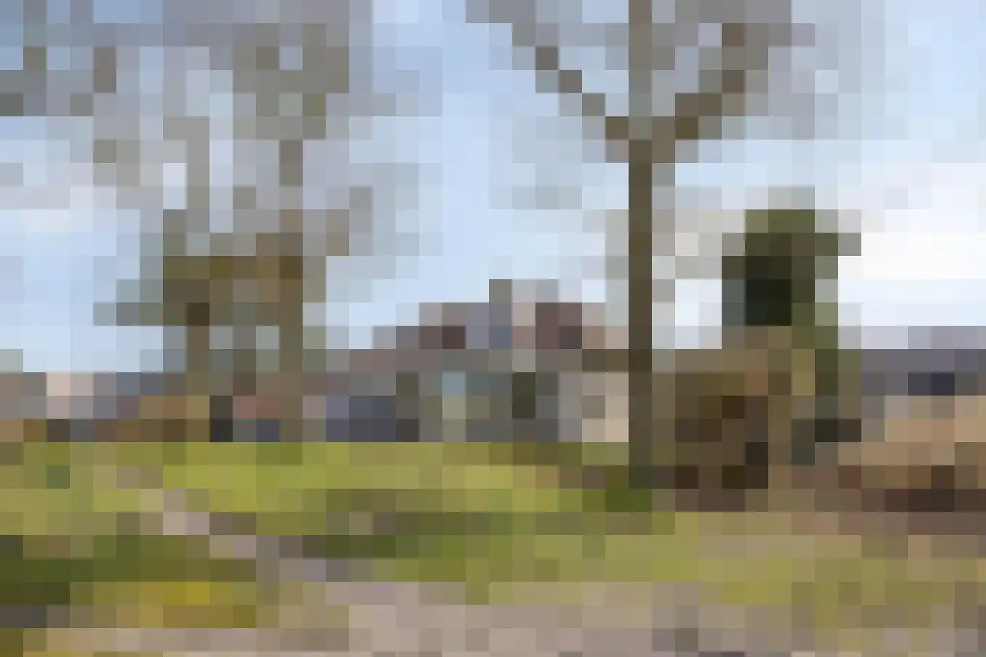 Duinweg 9 Renesse thumbnail 38