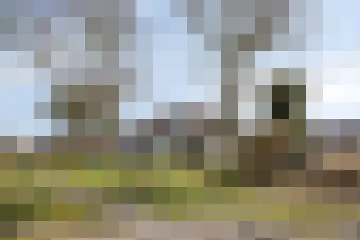 Duinweg 9 Renesse thumbnail 39