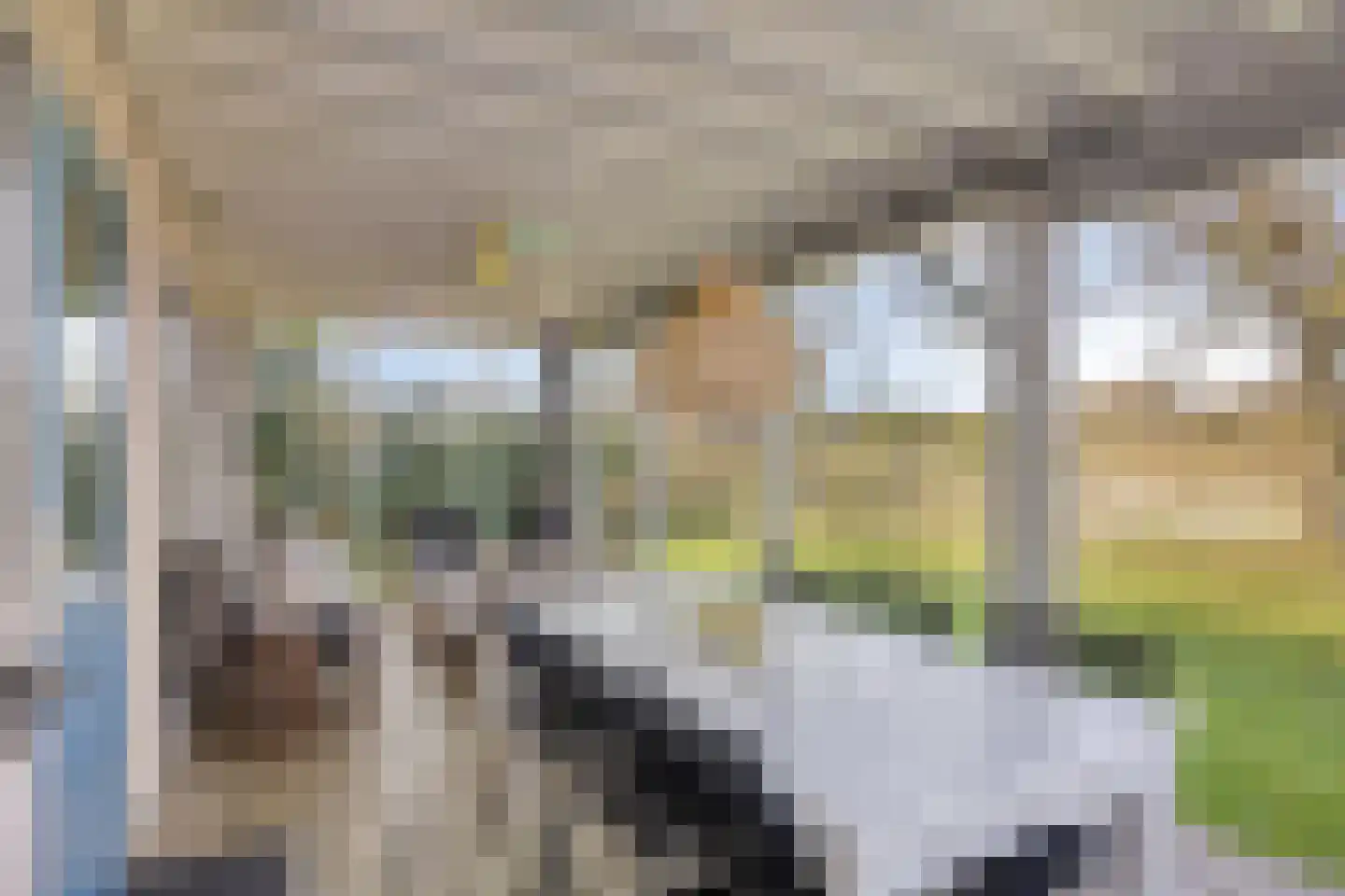 Duinweg 9 Renesse thumbnail 4