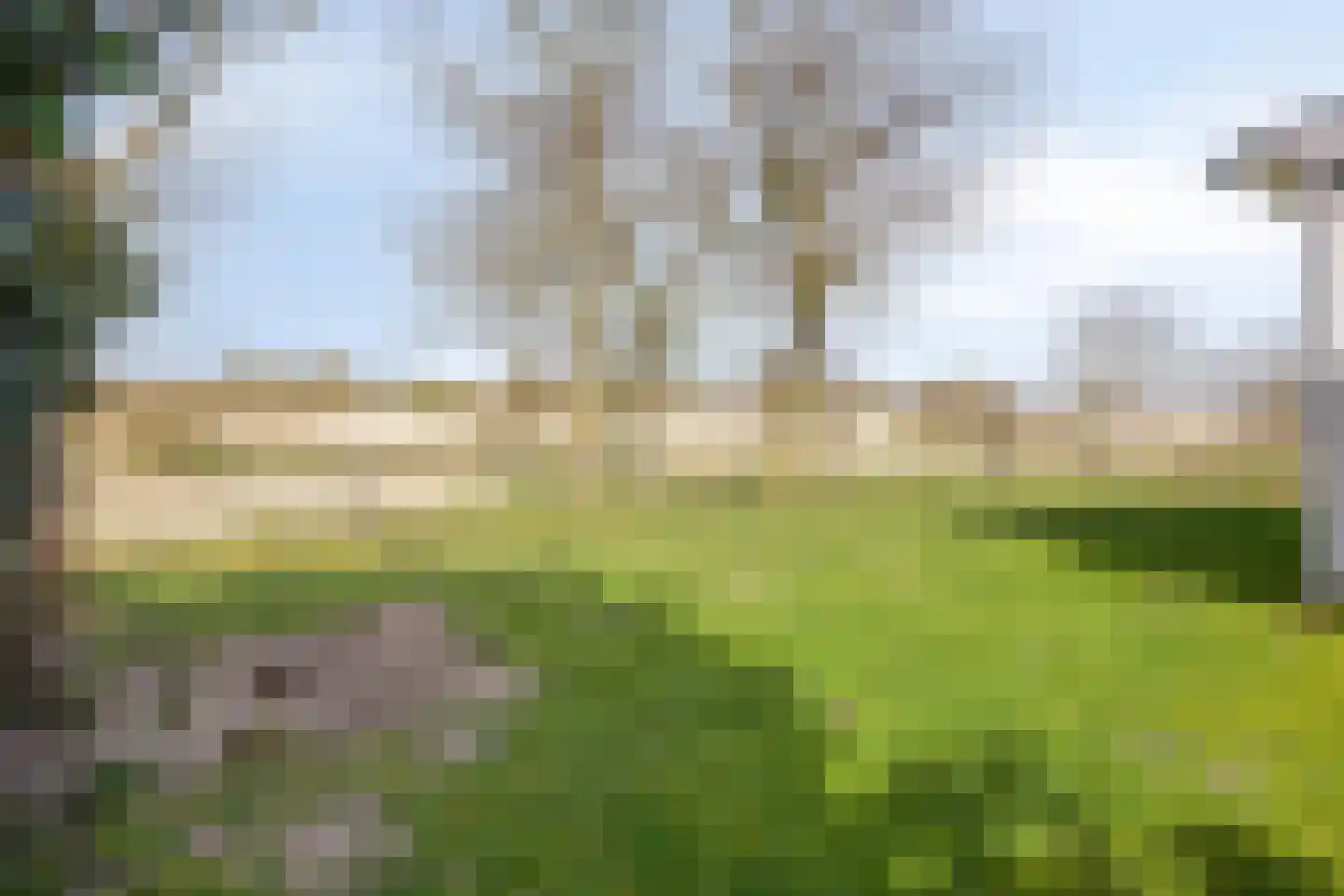 Duinweg 9 Renesse thumbnail 40