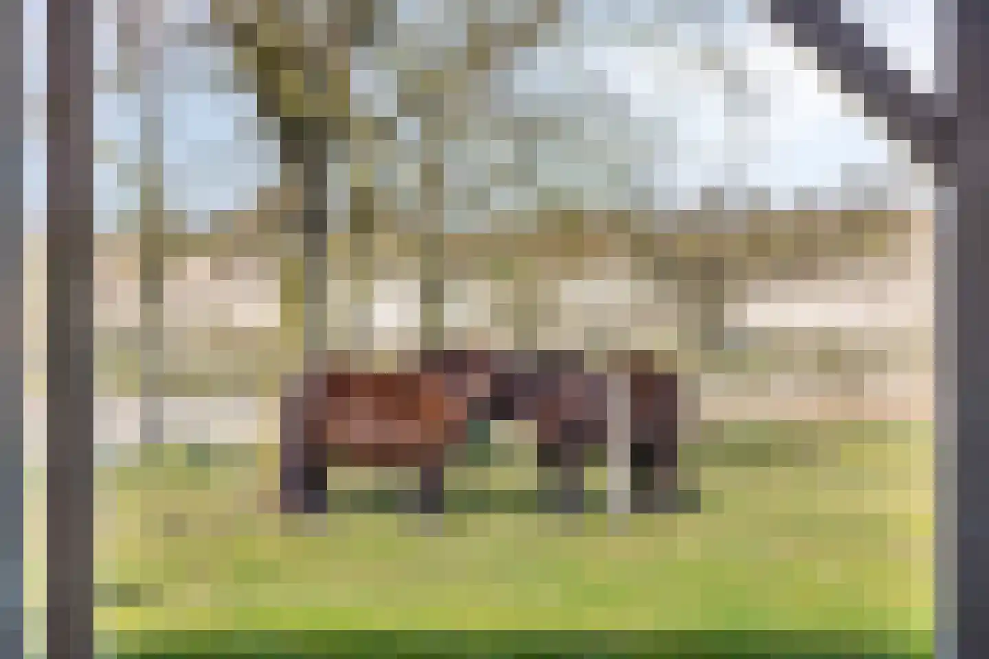 Duinweg 9 Renesse thumbnail 41