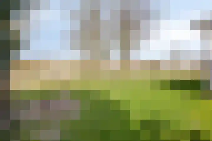 Duinweg 9 Renesse thumbnail 41