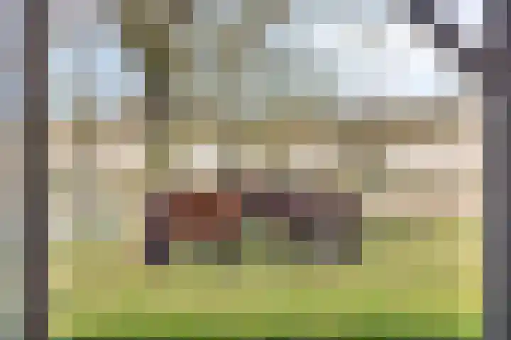 Duinweg 9 Renesse thumbnail 42