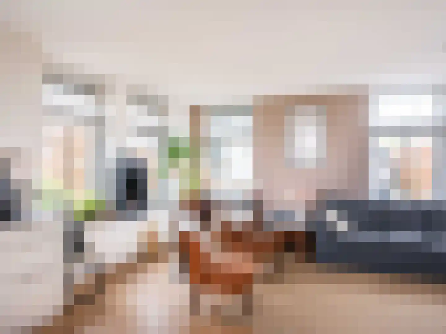 Duinweg 99 0020 Schoorl thumbnail 10
