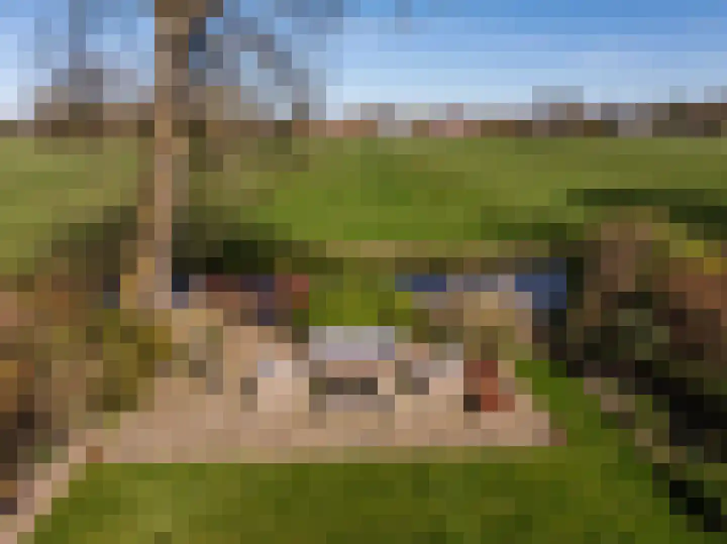 Duinweg 99 0020 Schoorl thumbnail 17