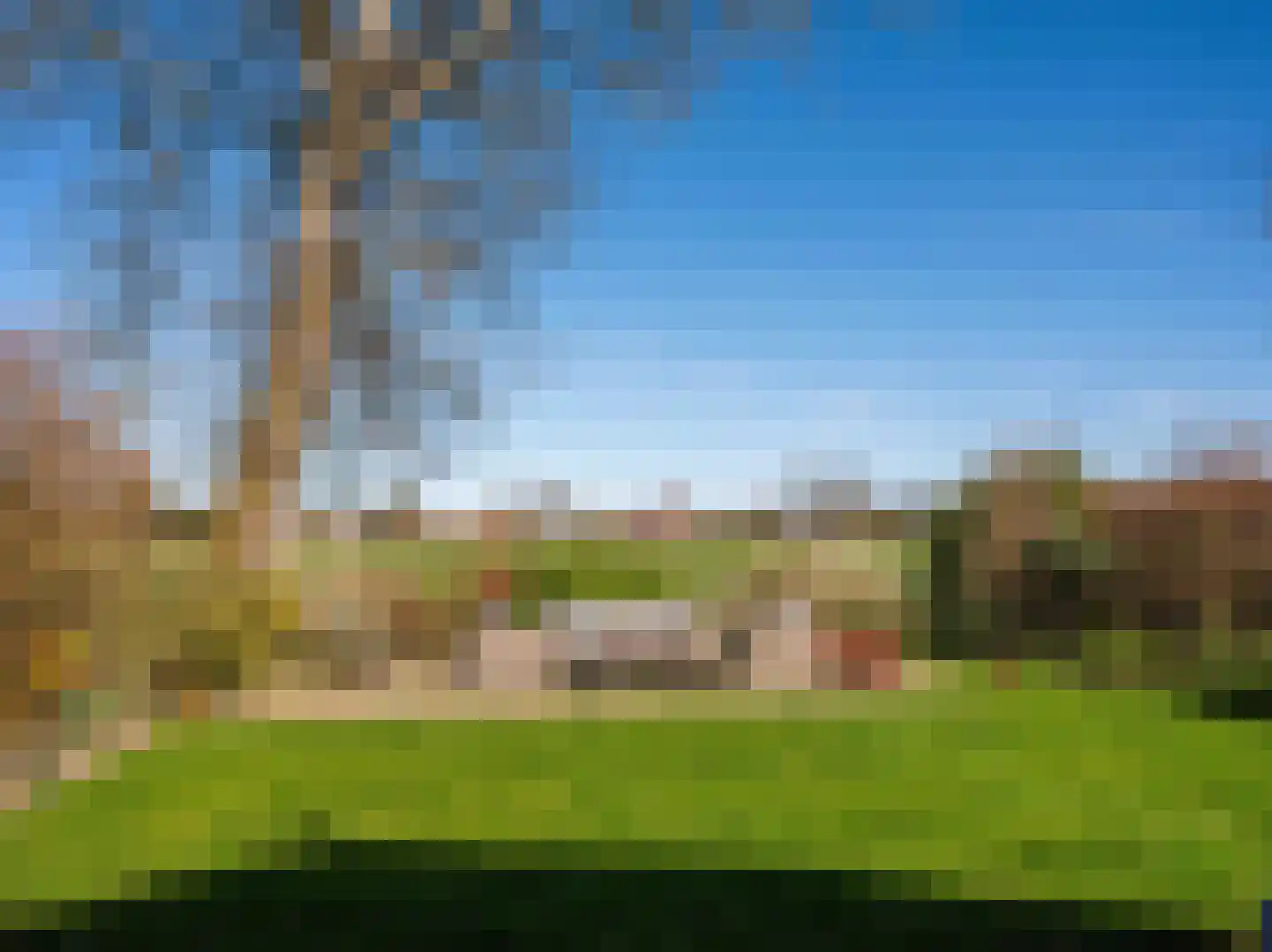 Duinweg 99 0020 Schoorl thumbnail 19