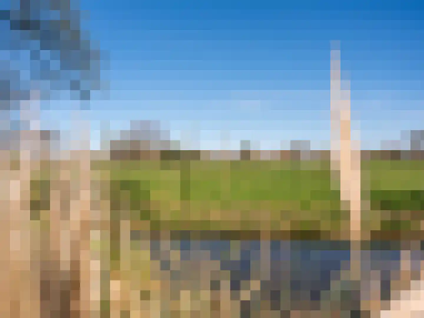 Duinweg 99 0020 Schoorl thumbnail 20