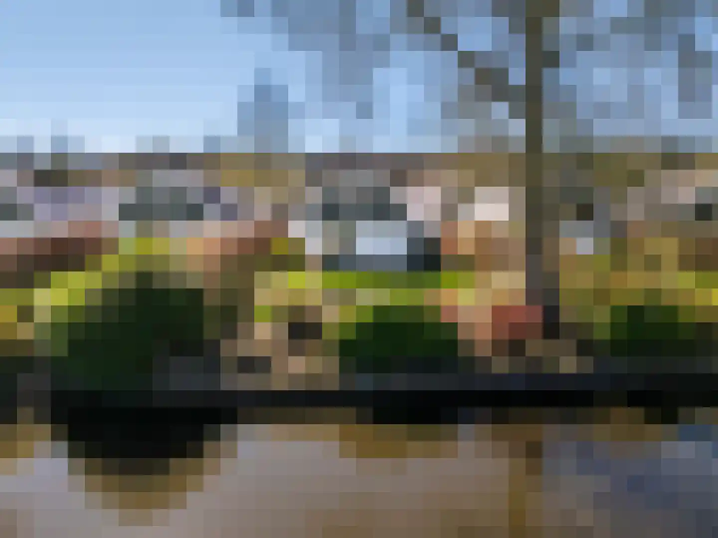 Duinweg 99 0020 Schoorl thumbnail 24