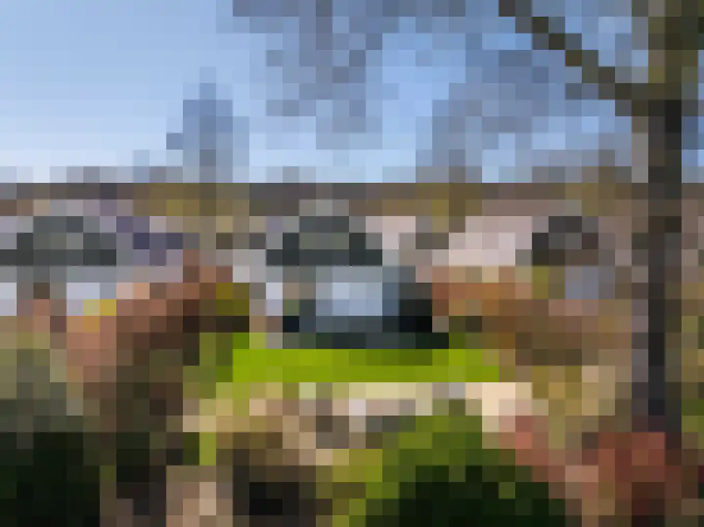 Duinweg 99 0020 Schoorl thumbnail 25