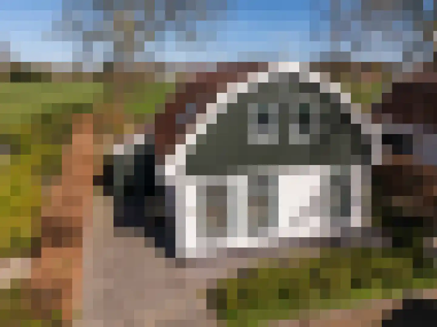 Duinweg 99 0020 Schoorl thumbnail 26