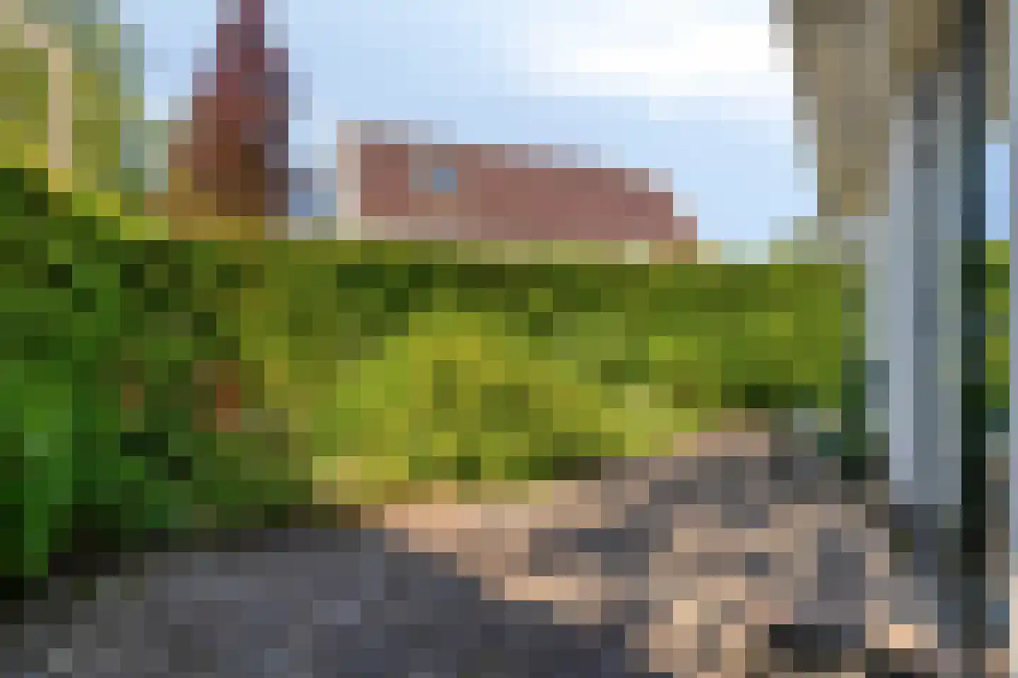 Duinweg 99 0024 Schoorl thumbnail 21