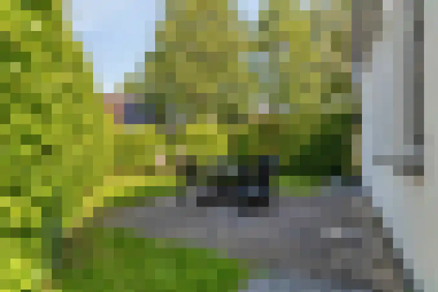 Duinweg 99 0024 Schoorl thumbnail 23