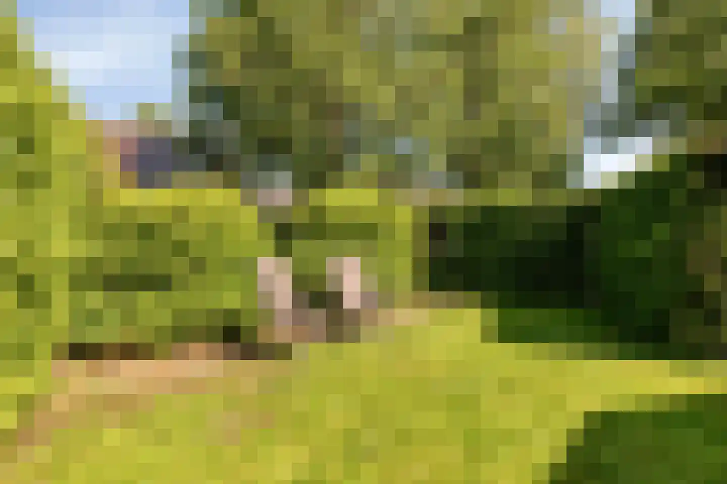Duinweg 99 0024 Schoorl thumbnail 24