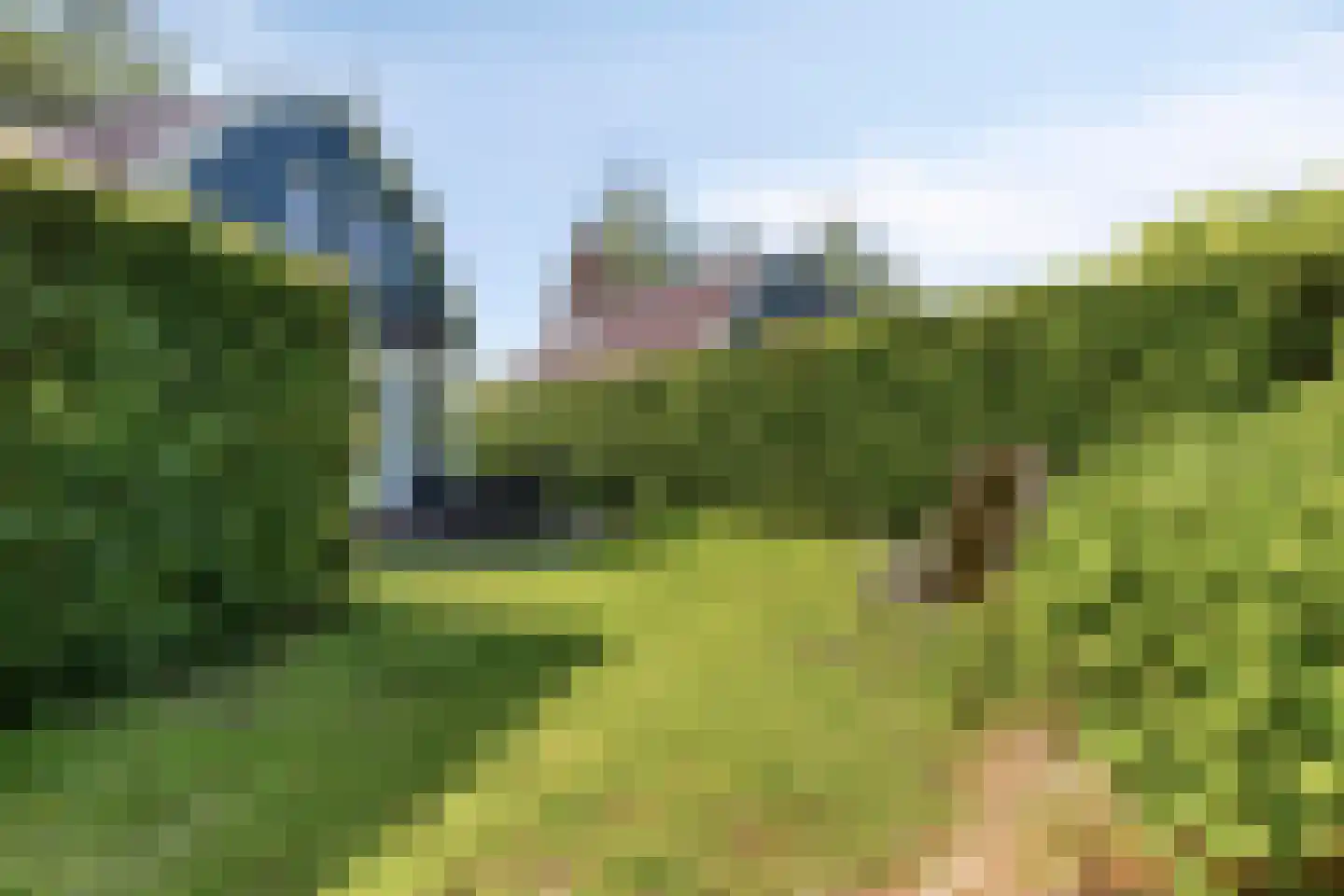 Duinweg 99 0024 Schoorl thumbnail 25