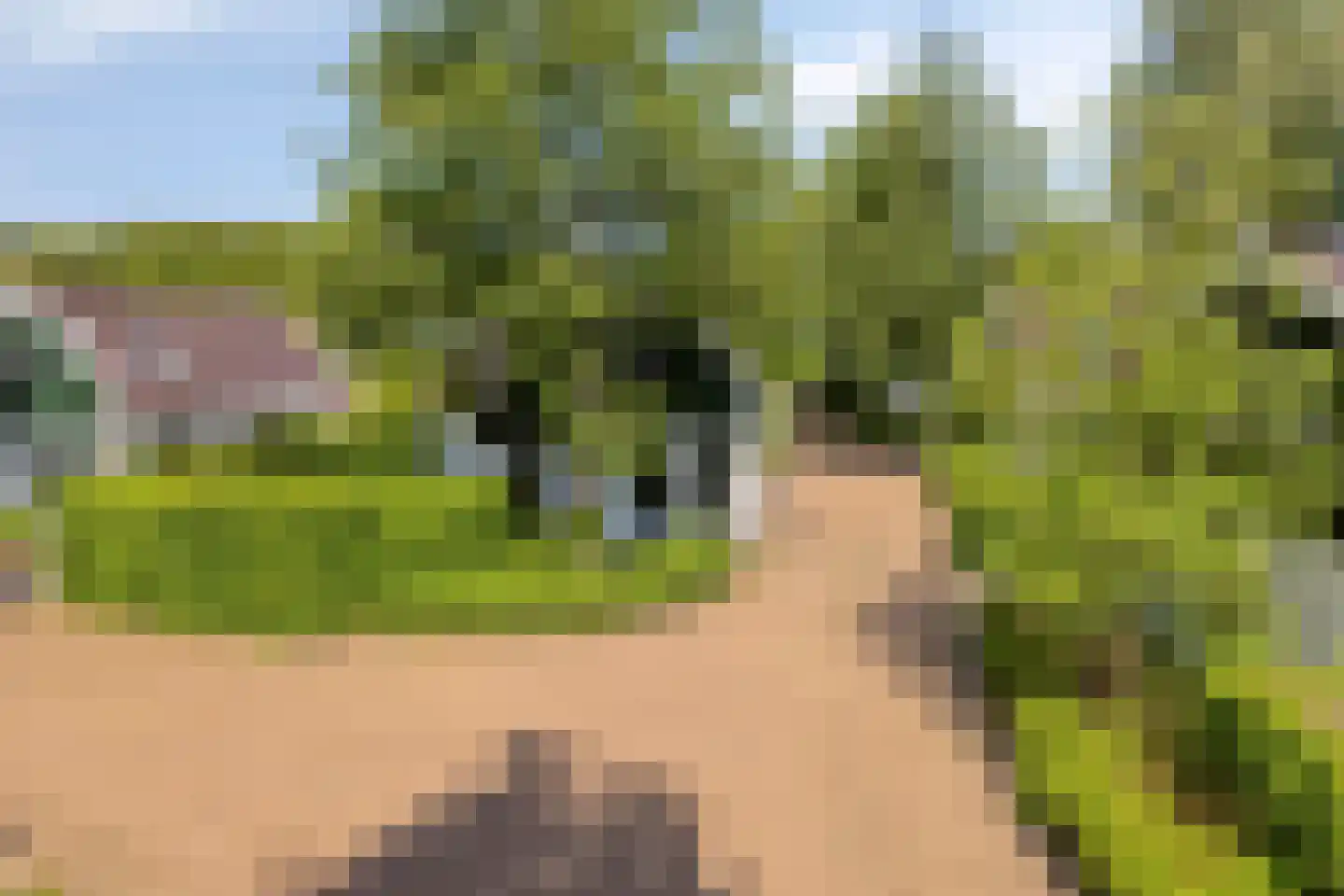 Duinweg 99 0024 Schoorl thumbnail 27