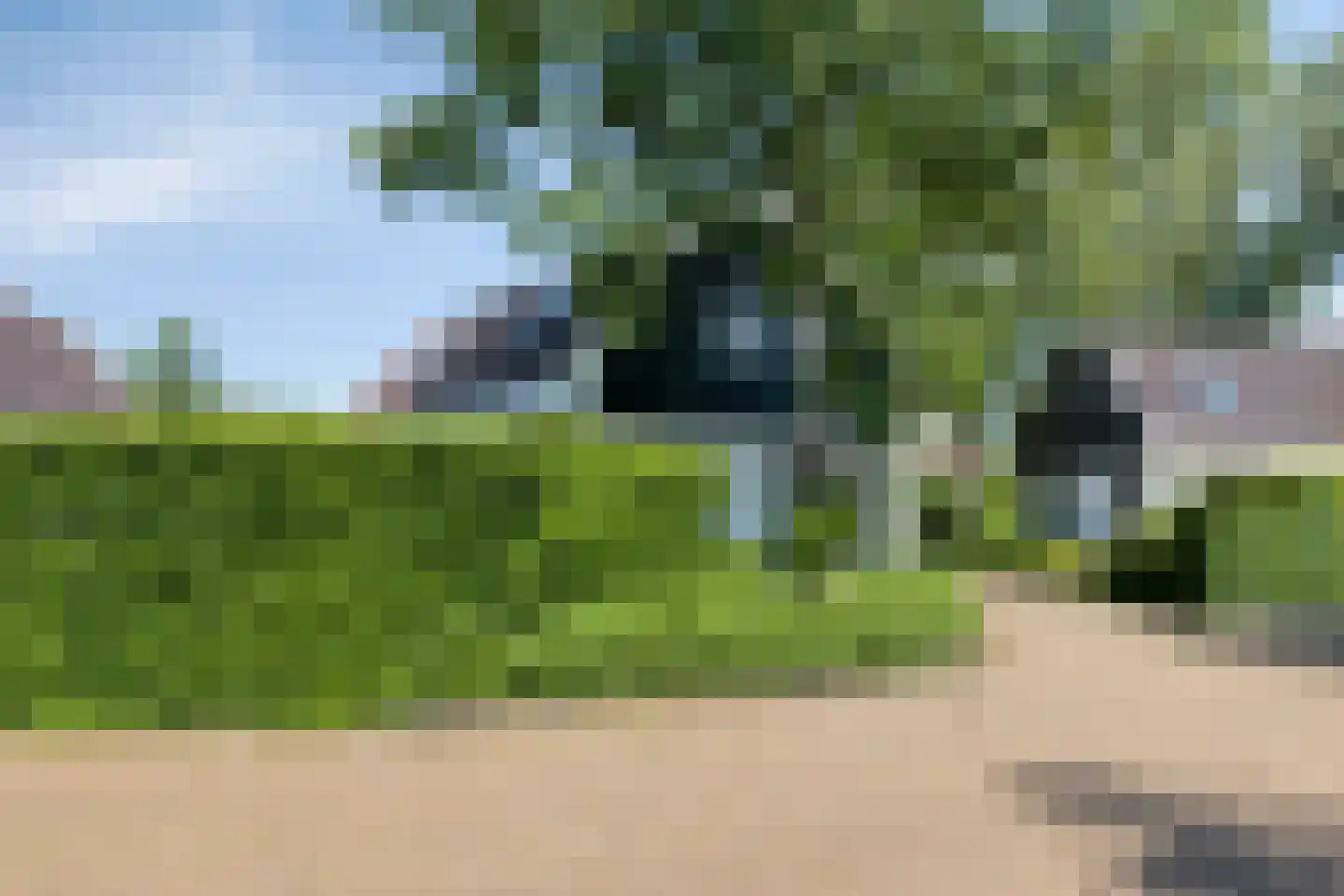 Duinweg 99 0024 Schoorl thumbnail 28