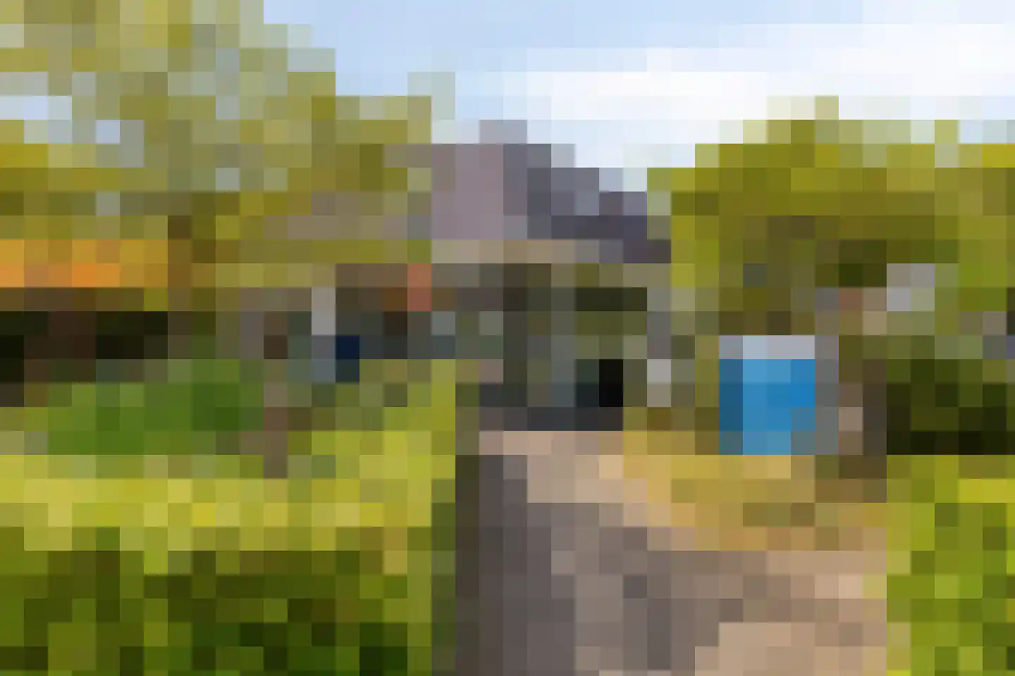 Duinweg 99 0024 Schoorl thumbnail 32