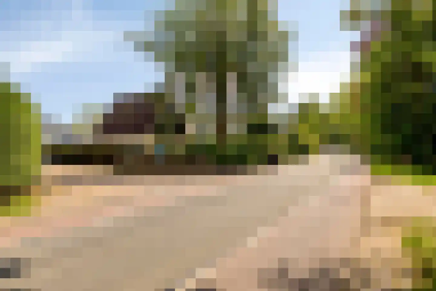 Duinweg 99 0024 Schoorl thumbnail 33