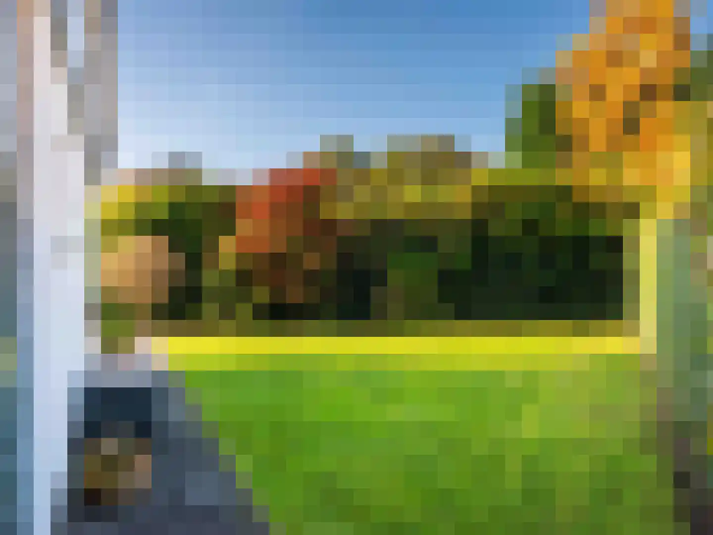 Duinweg 99 0039 Schoorl thumbnail 26
