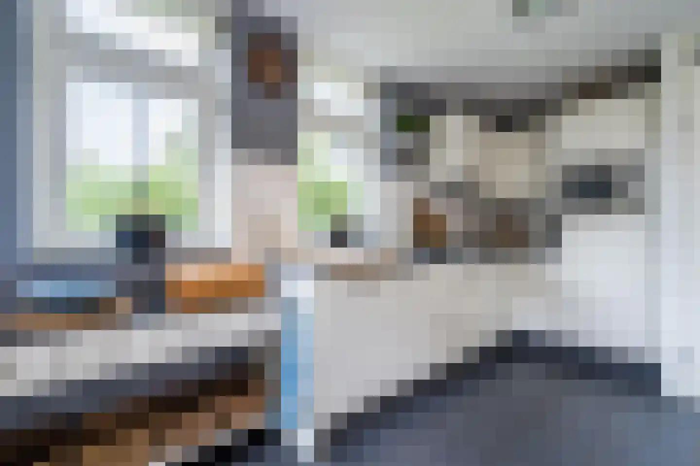 Duinweg 99 0050 Schoorl thumbnail 13