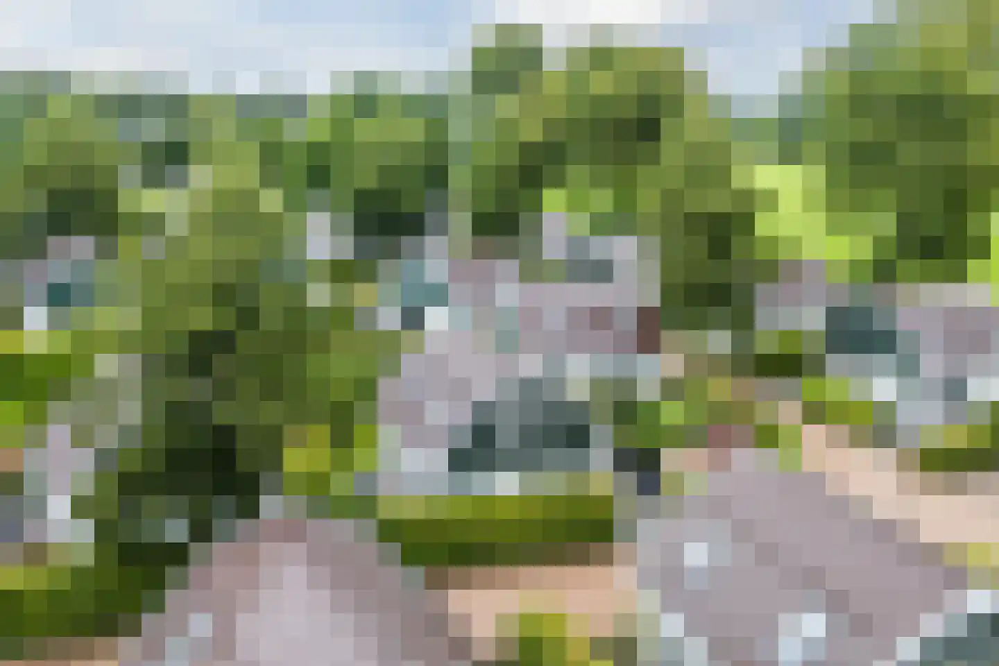 Duinweg 99 0050 Schoorl thumbnail 30