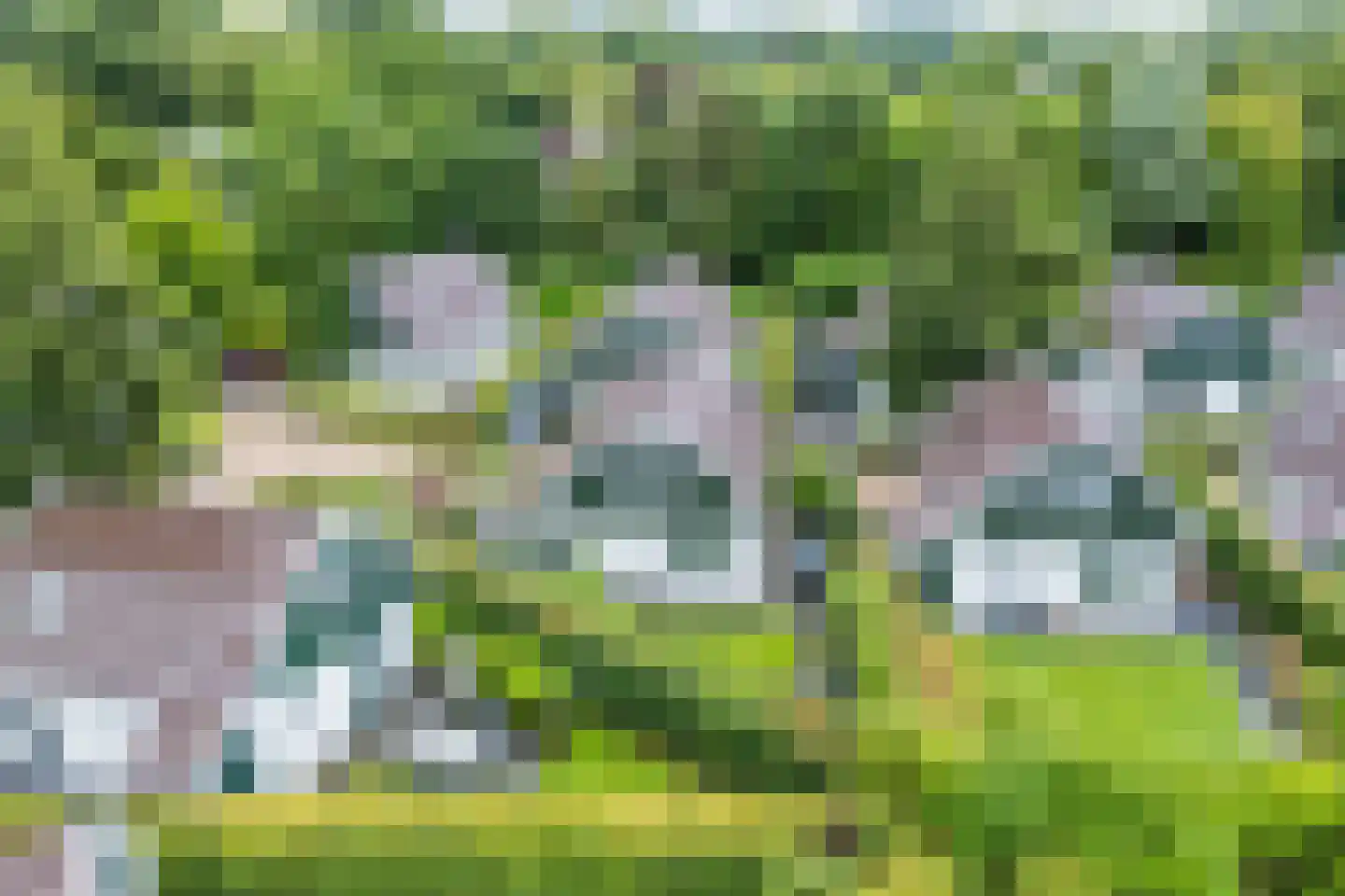 Duinweg 99 0050 Schoorl thumbnail 31