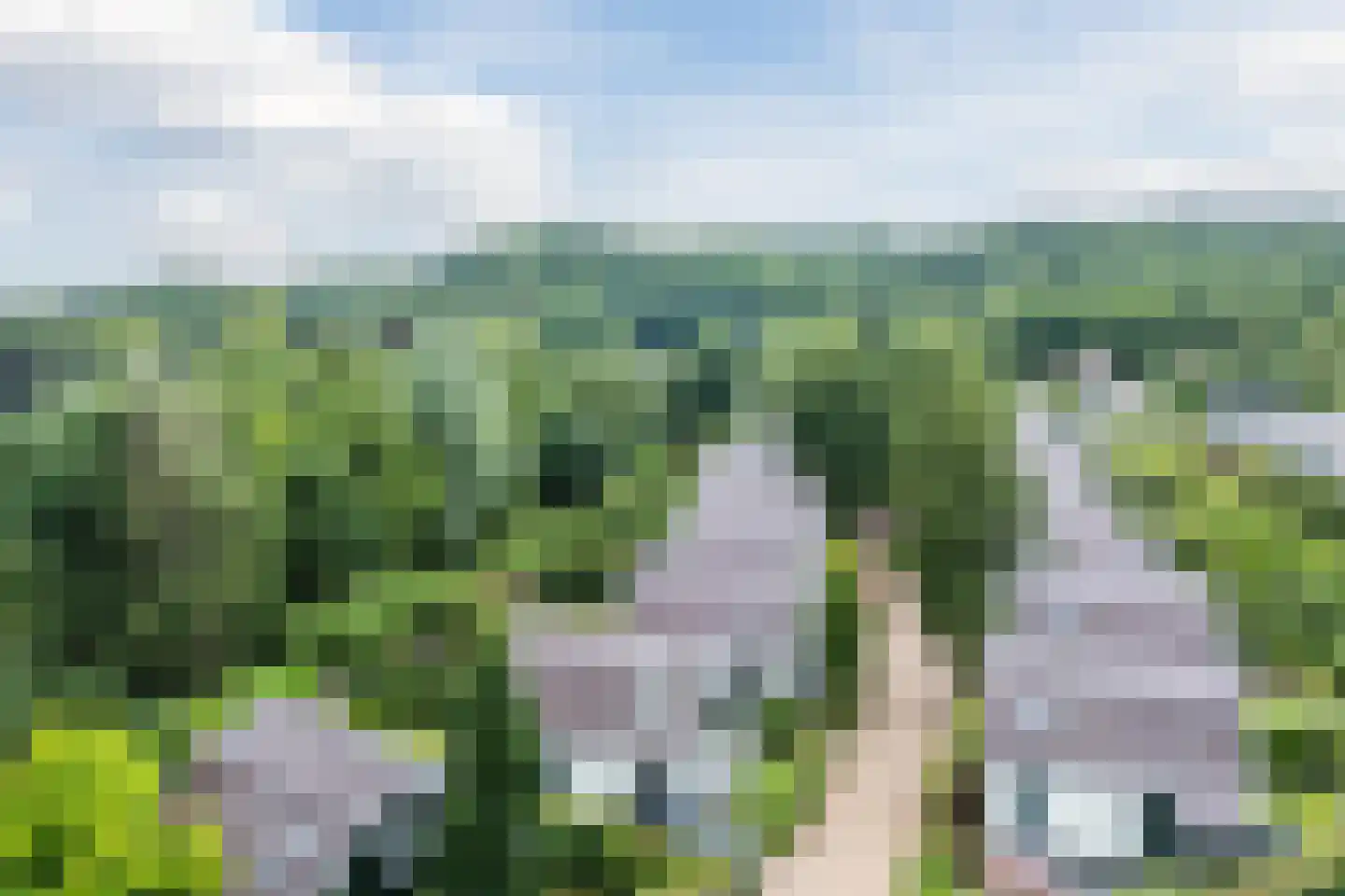 Duinweg 99 0050 Schoorl thumbnail 33