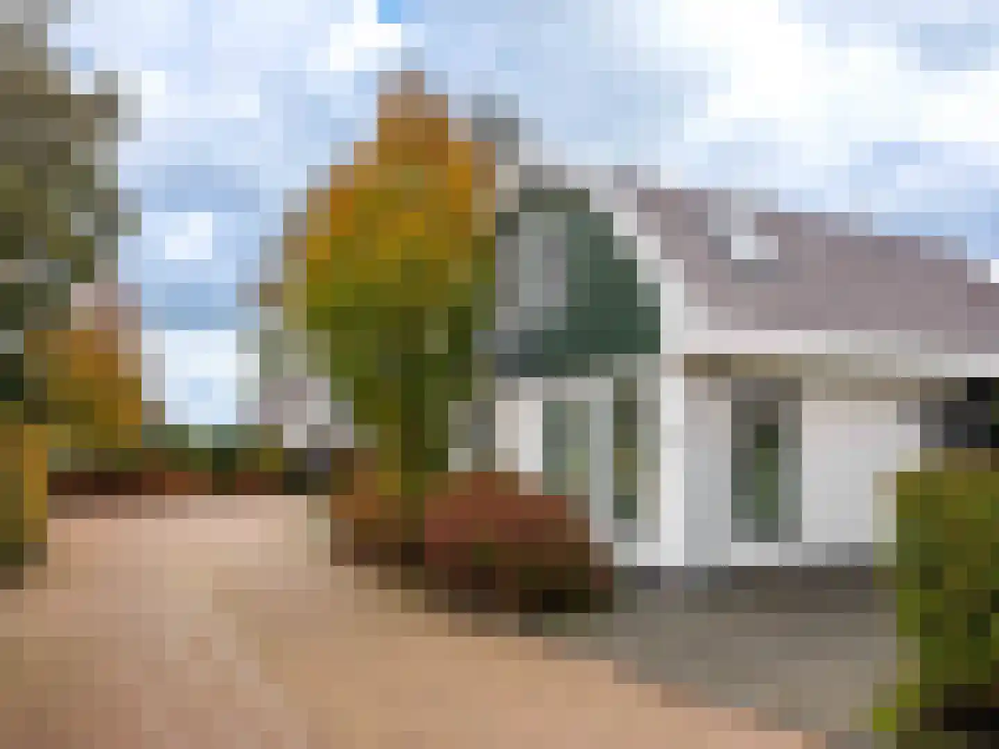 Duinweg 99 0053 Schoorl thumbnail 21