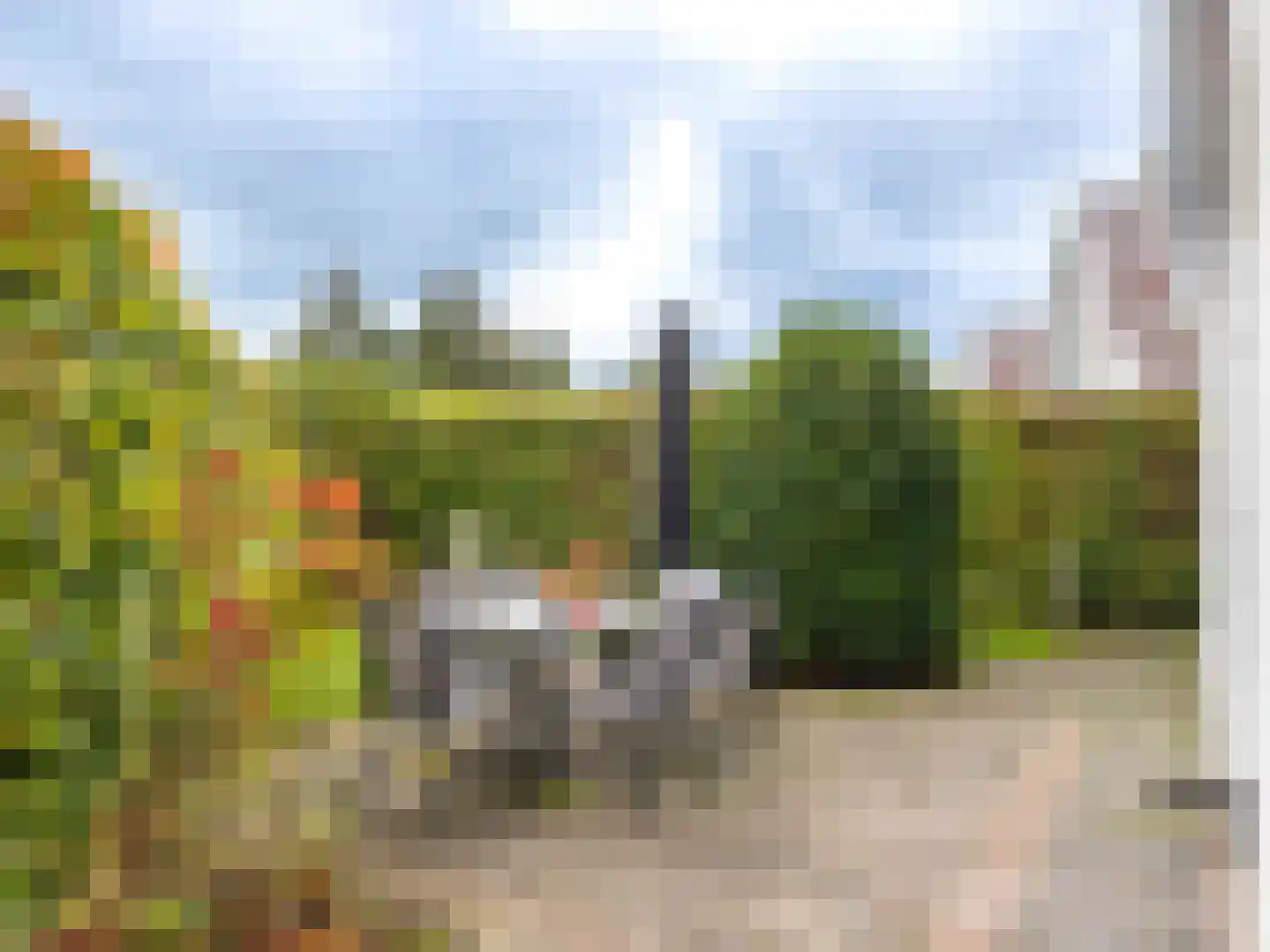 Duinweg 99 0053 Schoorl thumbnail 4