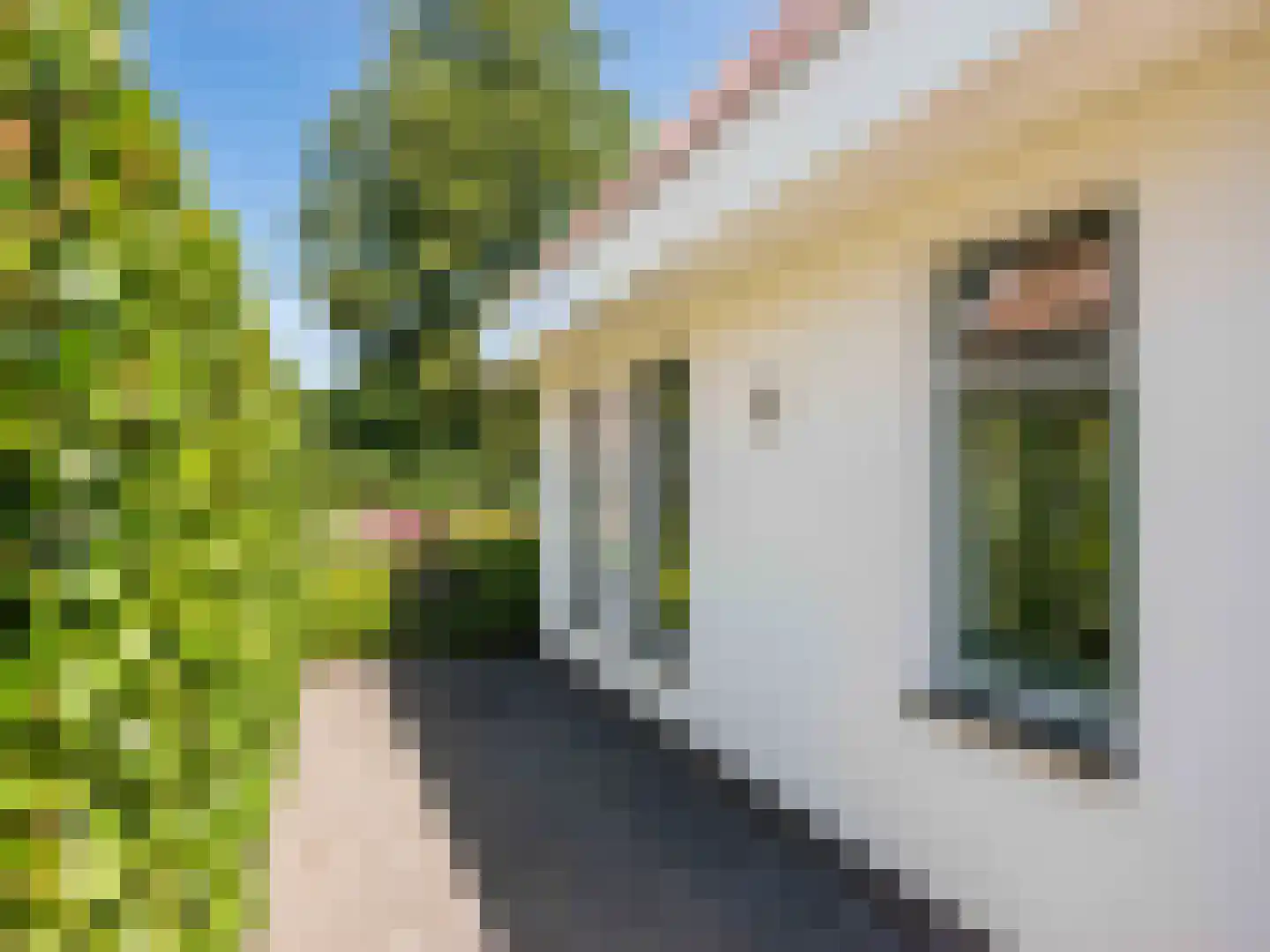 Duinweg 99 0057 Schoorl thumbnail 17