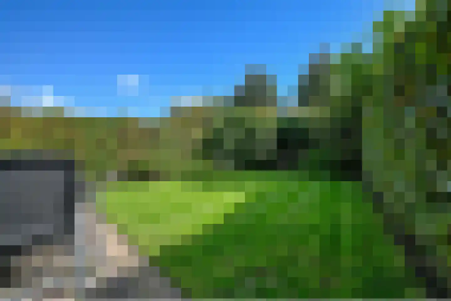 Duinweg 99 0062 Schoorl thumbnail 25