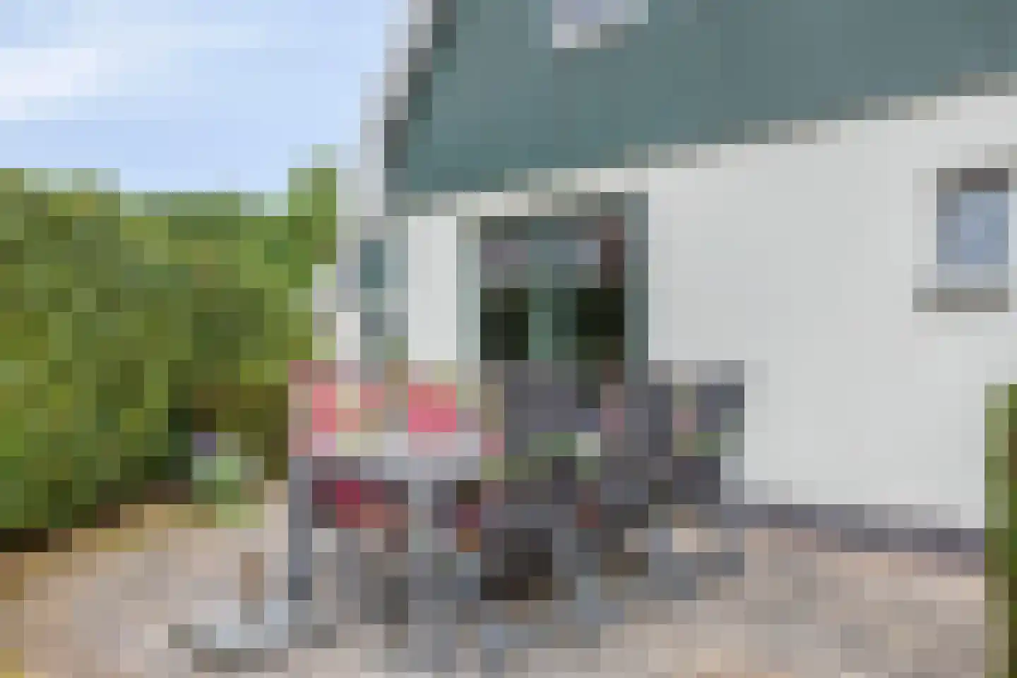 Duinweg 99 0063 Schoorl thumbnail 22