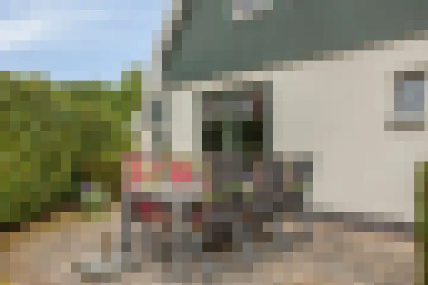 Duinweg 99 0063 Schoorl thumbnail 22