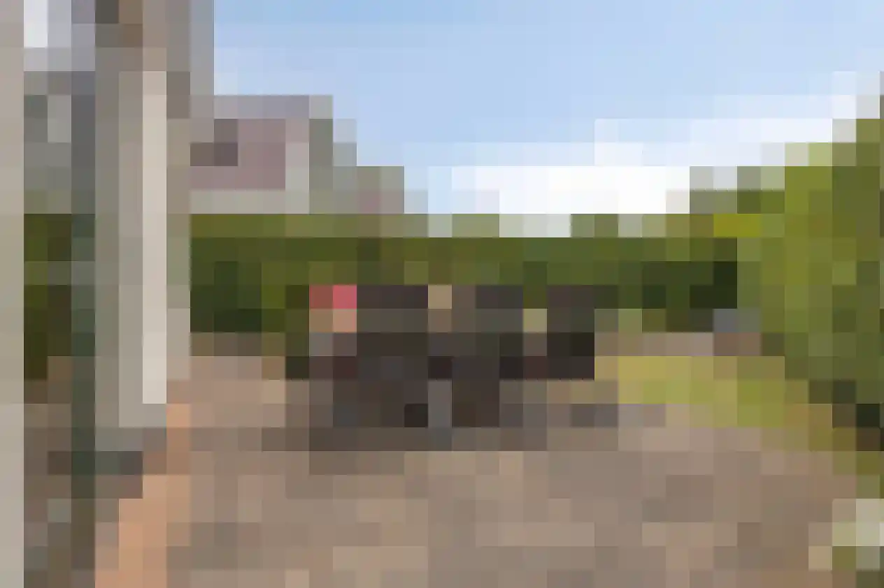 Duinweg 99 0063 Schoorl thumbnail 23