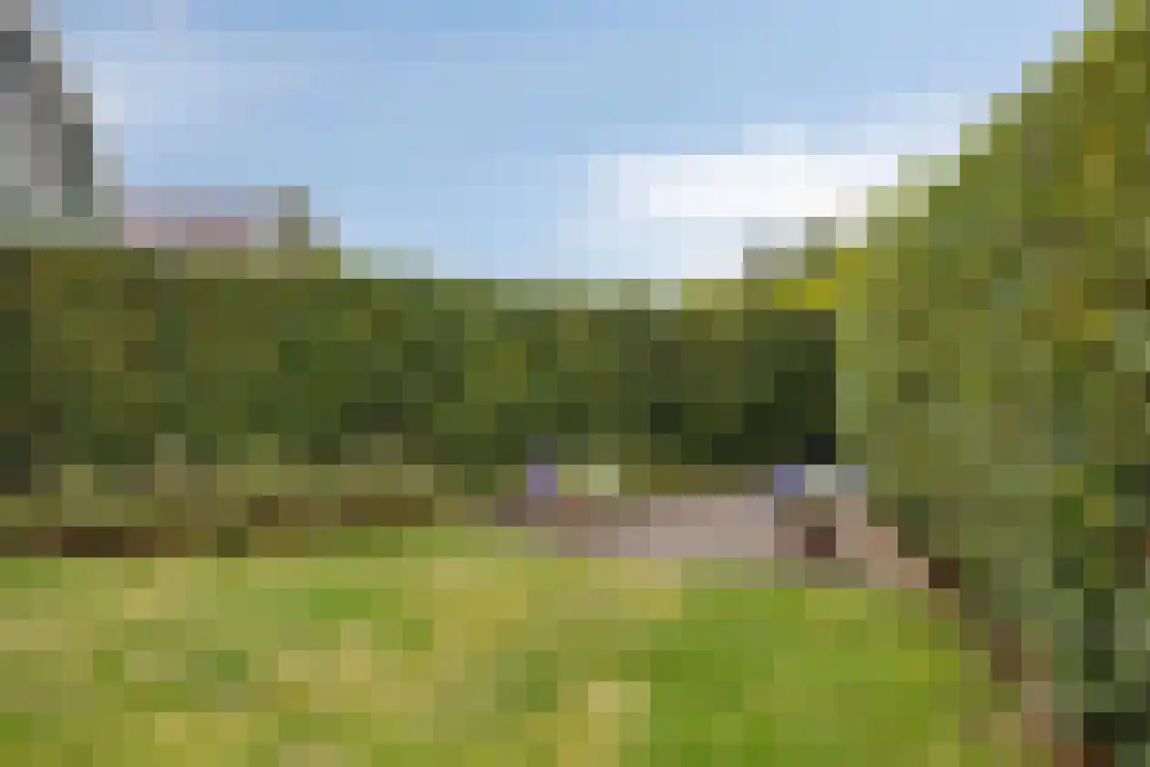 Duinweg 99 0063 Schoorl thumbnail 24