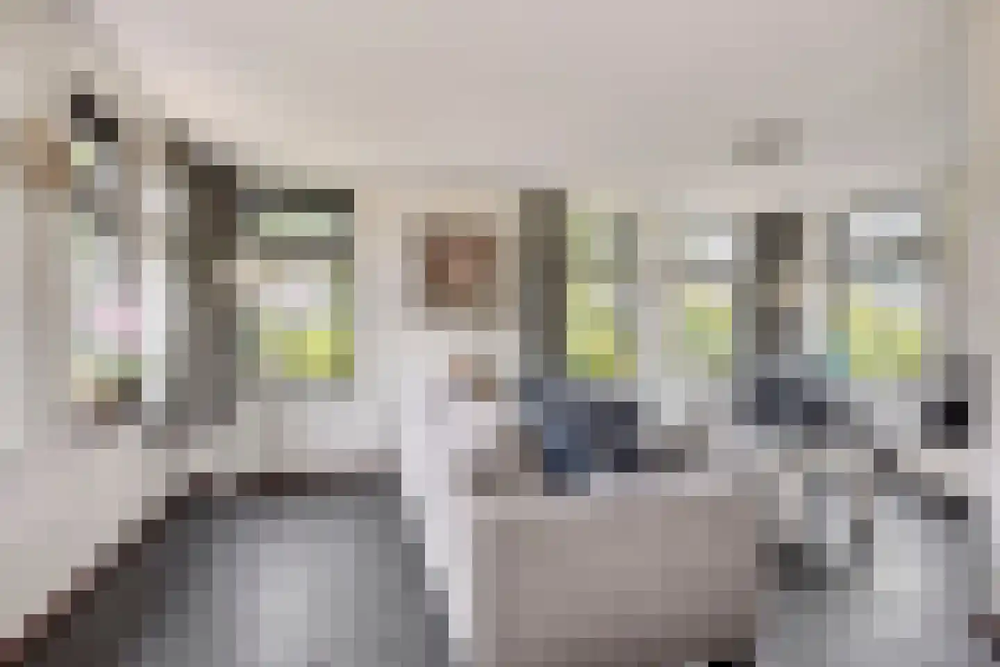 Duinweg 99 0063 Schoorl thumbnail 4