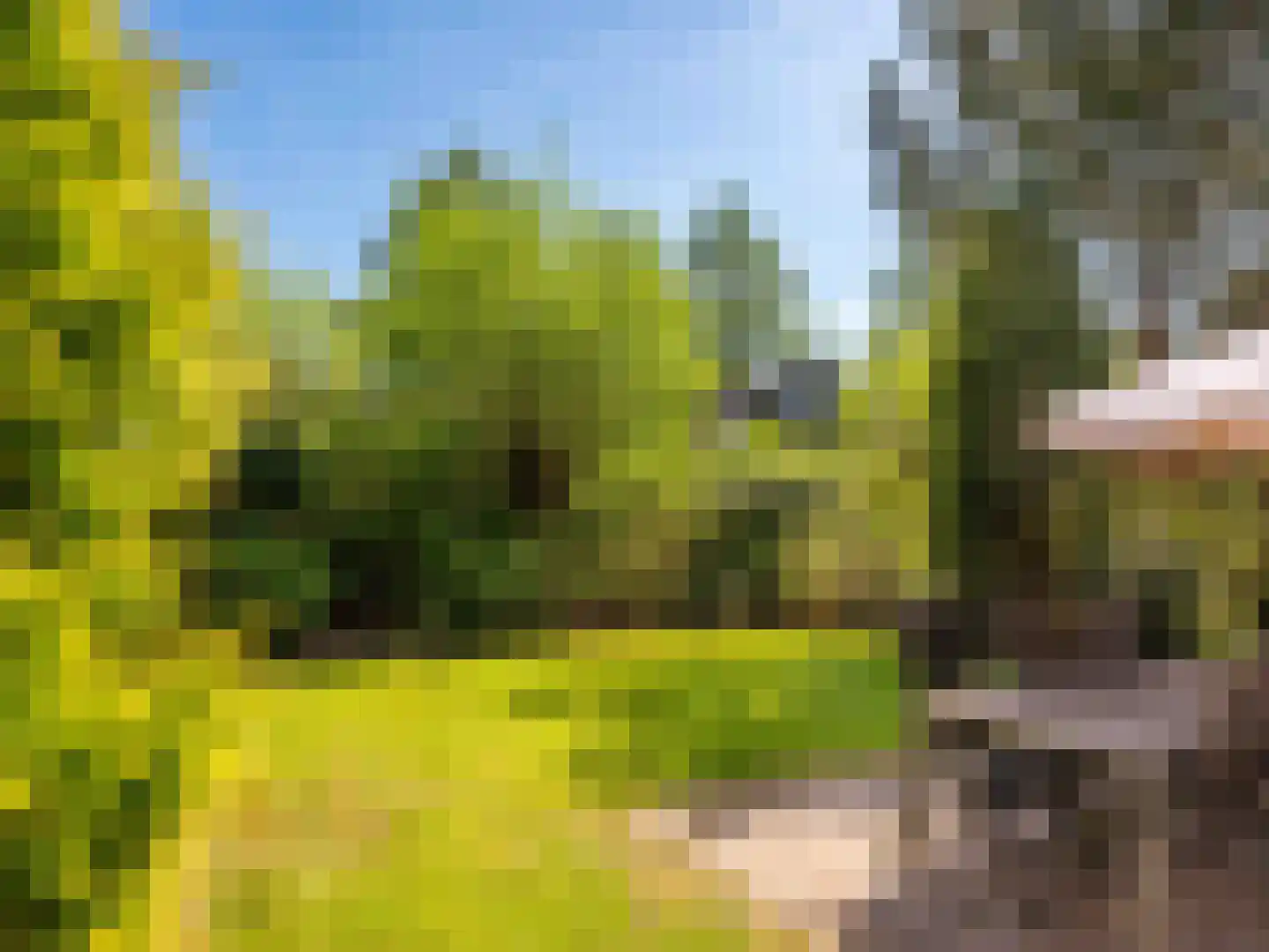 Duinweg 99 0073 Schoorl thumbnail 4