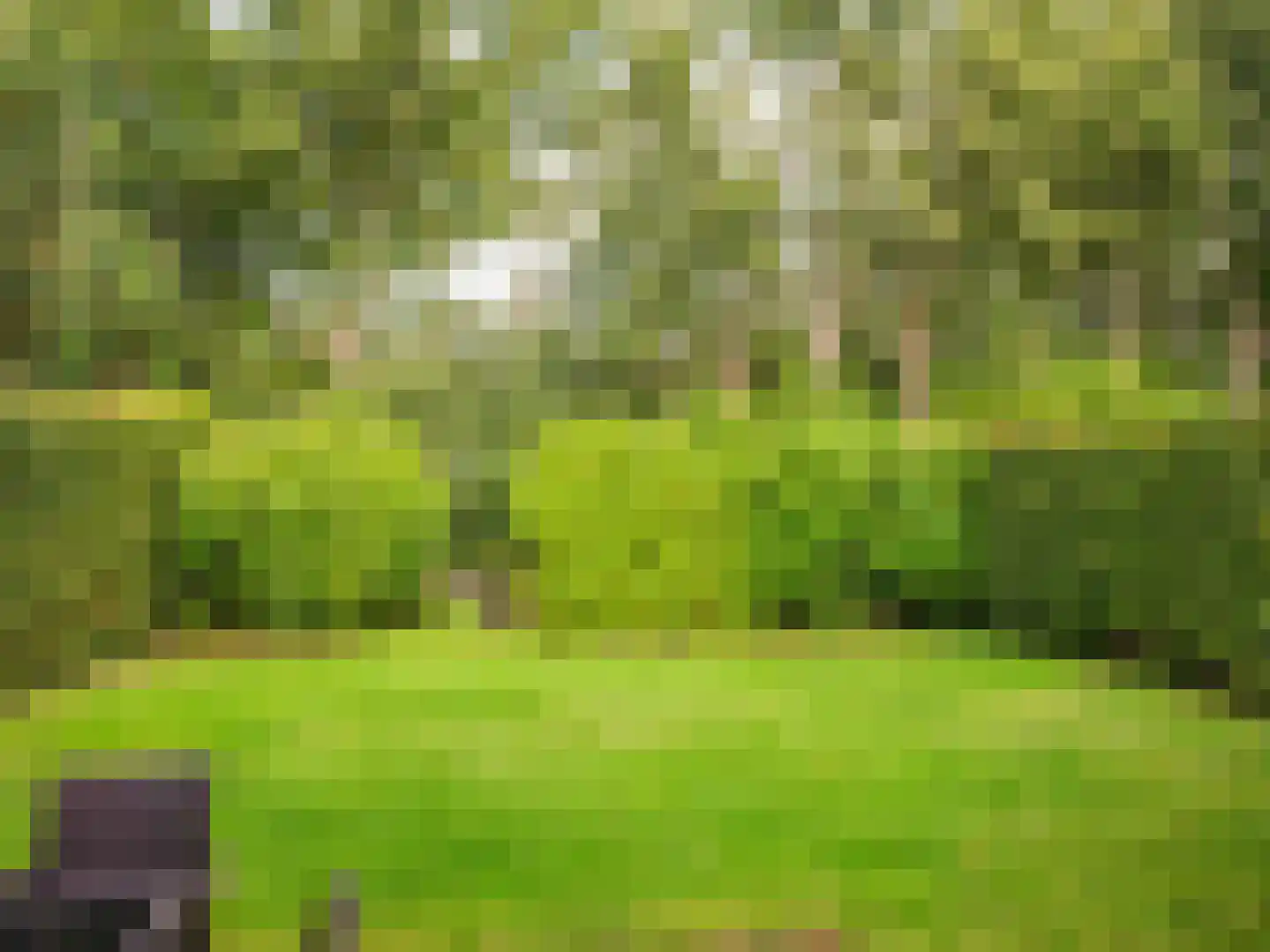 Duinweg 99 0082 Schoorl thumbnail 15