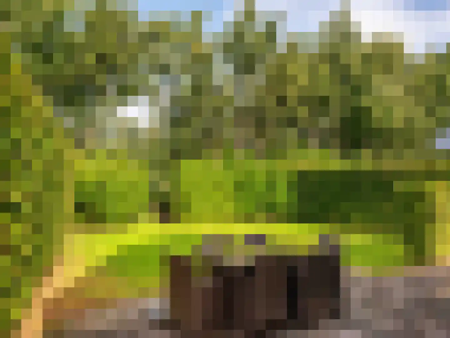 Duinweg 99 0082 Schoorl thumbnail 15