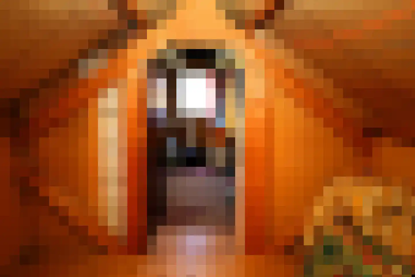 Duinweg Lies 15 Lies thumbnail 14