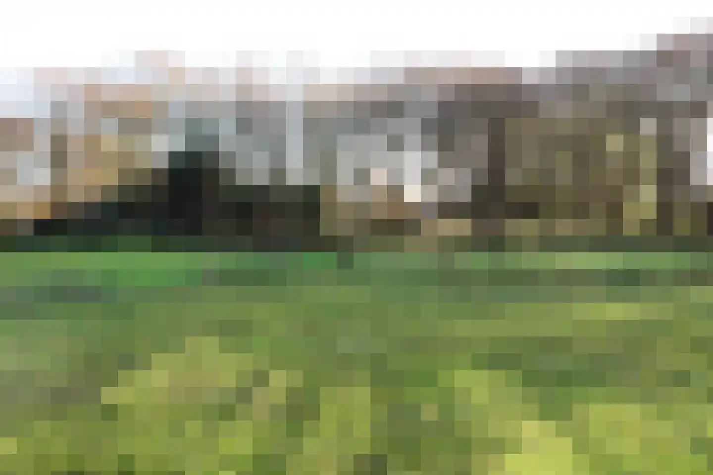 Duinweg Lies 15 Lies thumbnail 15