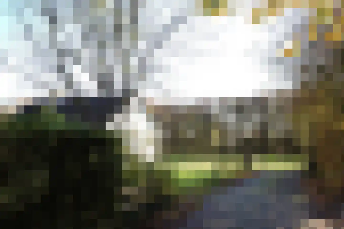 Duinweg Lies 15 Lies thumbnail 16